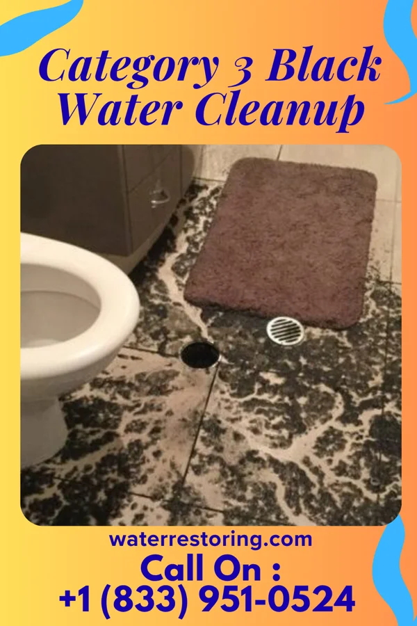 Category 3 Black Water Cleanup in Orderville, UT